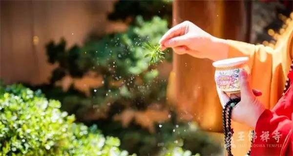 1551796727422355.jpg 微信图片_20190305222957.jpg