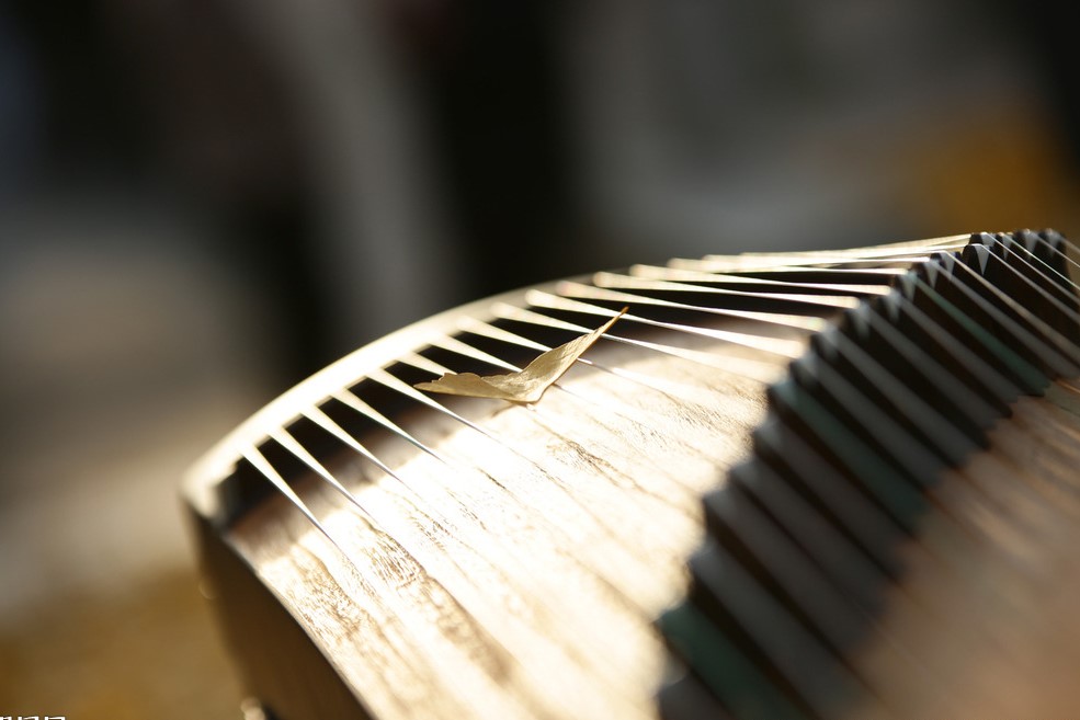 1552704403275124.jpg 17517867_091127765000_2.jpg