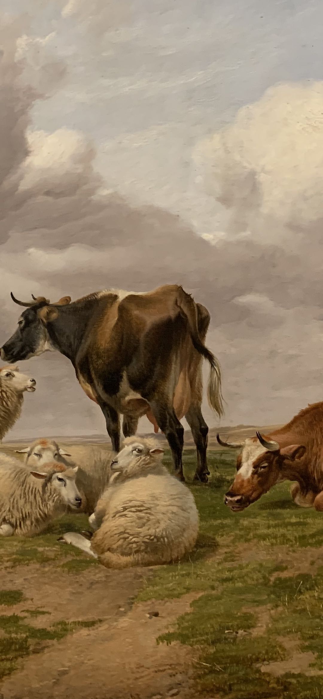 1556528339529740.jpg 微信图片_20190429165811.jpg